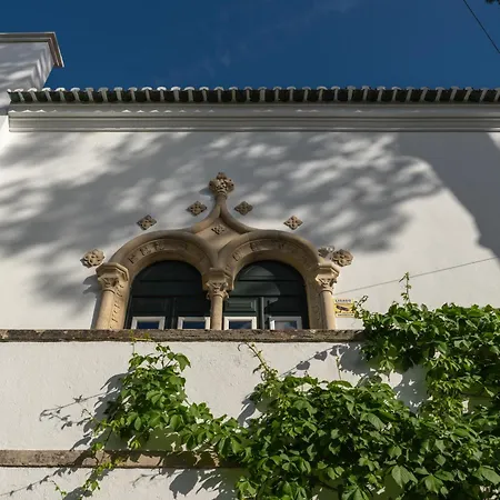 Vasco Da Gama
